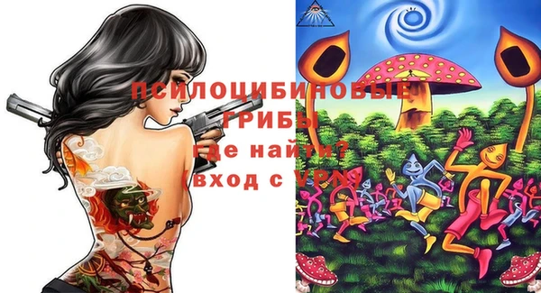 PSILOCYBIN Бугульма