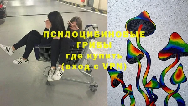 PSILOCYBIN Бугульма