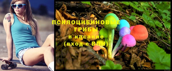 PSILOCYBIN Бугульма