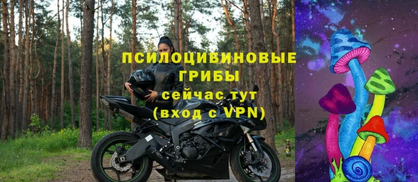 PSILOCYBIN Бугульма